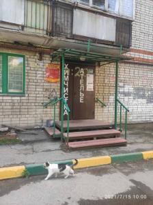 Фотография Новинка 1