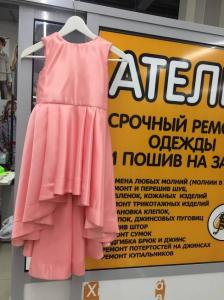 Фотография Пчелка 5