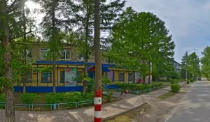 Фотография Ромашка 0