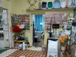 Фотография Ателье 5