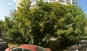 Фотография Креп-Де-Шин 3