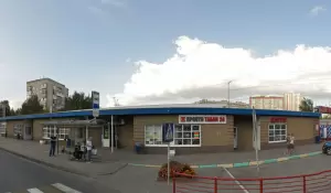 Фотография Елена 4