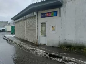 Фотография Ботинни 0